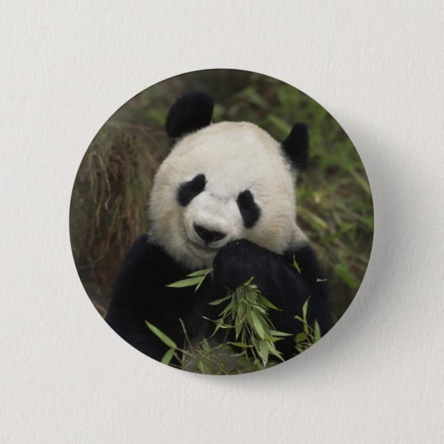 Cute Giant Panda 6 Cm Round Badge (Front)