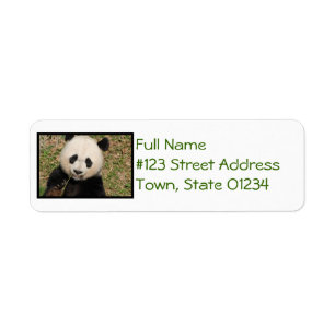 Cute Giant Panda Bear Return Address Label