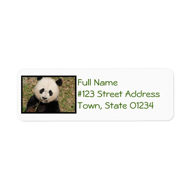 Cute Giant Panda Bear Return Address Label (Front)
