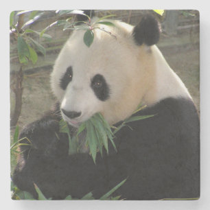 Cute giant panda bear stone coaster