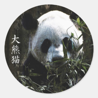 Cute Giant Panda Bear with tasty Bamboo Leaves Classic Round Sticker