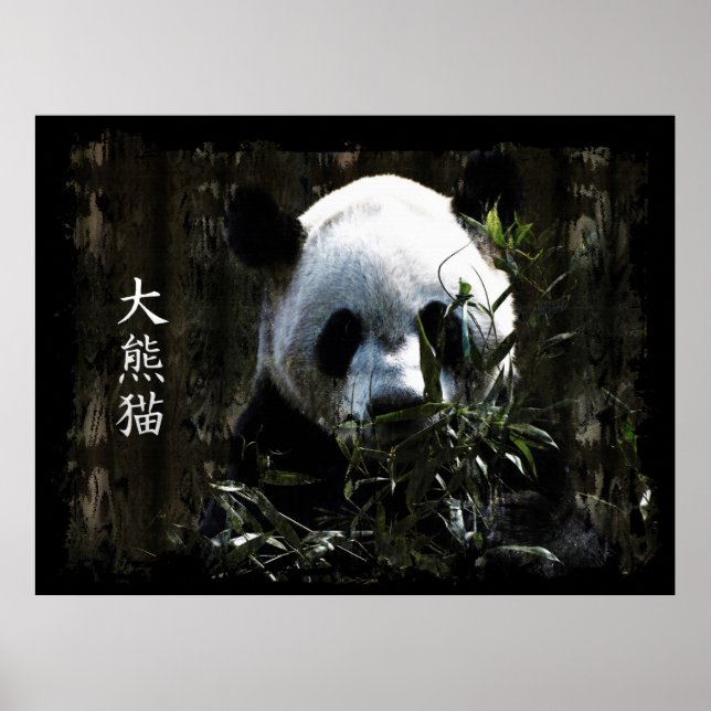 Cute Giant Panda Bear with tasty Bamboo Leaves Poster (Front)