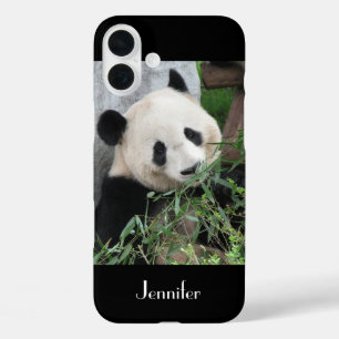 Cute Giant Panda, Black Background, Custom Name iPhone 16 Plus Case