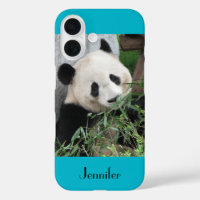 Cute Giant Panda Blue Background with Name