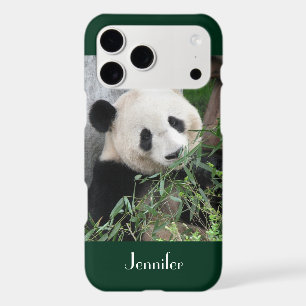 Cute Giant Panda Dark Green Background, Name,