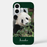Cute Giant Panda Dark Green Background, Name,