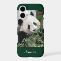 Cute Giant Panda, Dark Green Trim, Custom Name