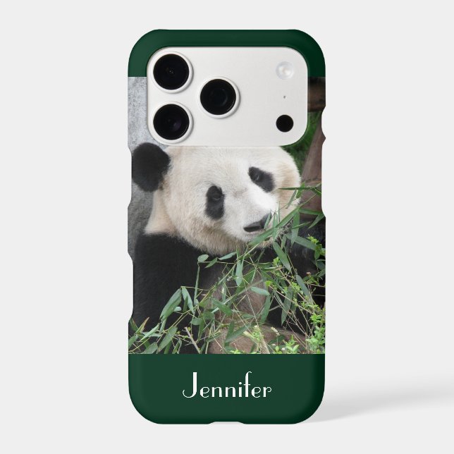Cute Giant Panda, Dark Green Trim, Custom Name (Back)