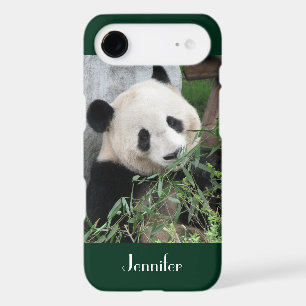 Cute Giant Panda Dark Green Trim, Custom Name