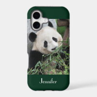 Cute Giant Panda Dark Green Trim Personalised Name