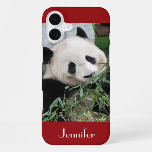 Cute Giant Panda, Dark Red, Custom with Name iPhone 16 Plus Case