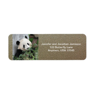 Cute Giant Panda, Faux Chrome Return Address Label