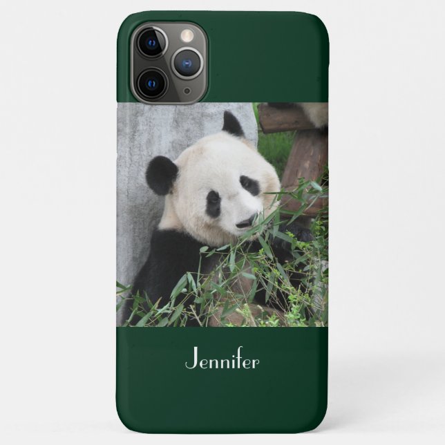 Cute Giant Panda Green Background, Name,  Case-Mate iPhone Case (Back)