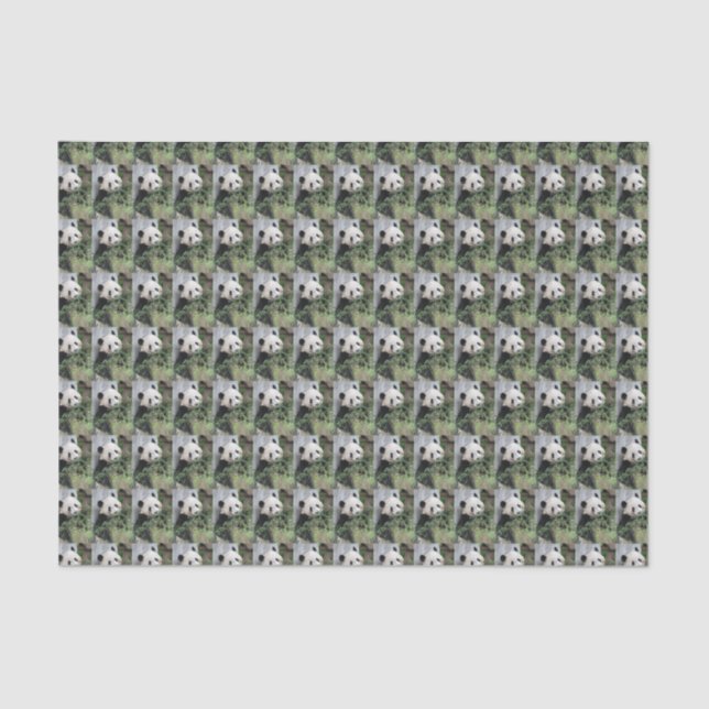 Cute Giant Panda Green Black and White Tissue Paper (Front)