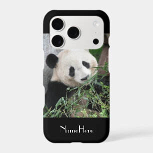 Cute Giant Panda, Name, Black