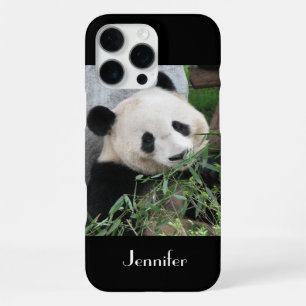 Cute Giant Panda, Name, Black iPhone Case