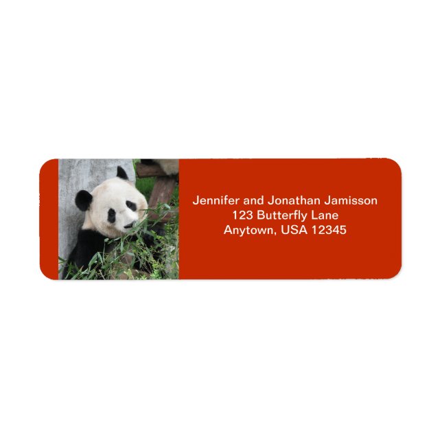 Cute Giant Panda, Orange Return Address Label (Front)