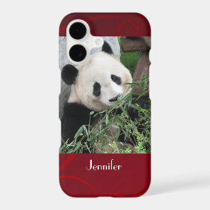 Cute Giant Panda with Name Red Swirly Background