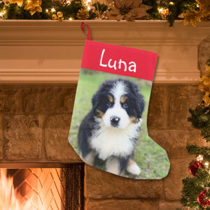 Cute Gift for Berner Lovers Female Bernese Face Small Christmas Stocking