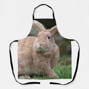 Cute ginger bunny with big ears apron