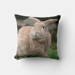 Cute ginger bunny with big ears     cushion
