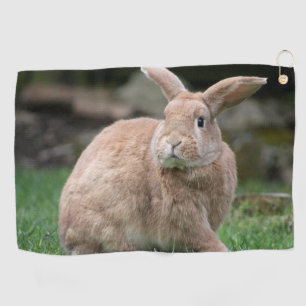 Cute ginger bunny with big ears golf towel