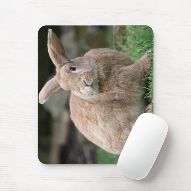 Cute ginger bunny with big ears   mouse pad (With Mouse)
