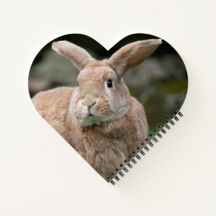 Cute ginger bunny with big ears notebook