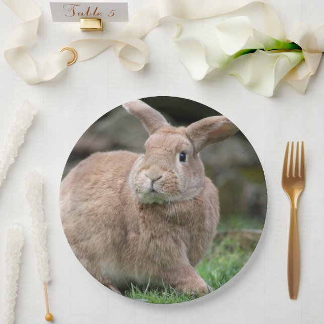 Cute ginger bunny with big ears      paper plate (Wedding)