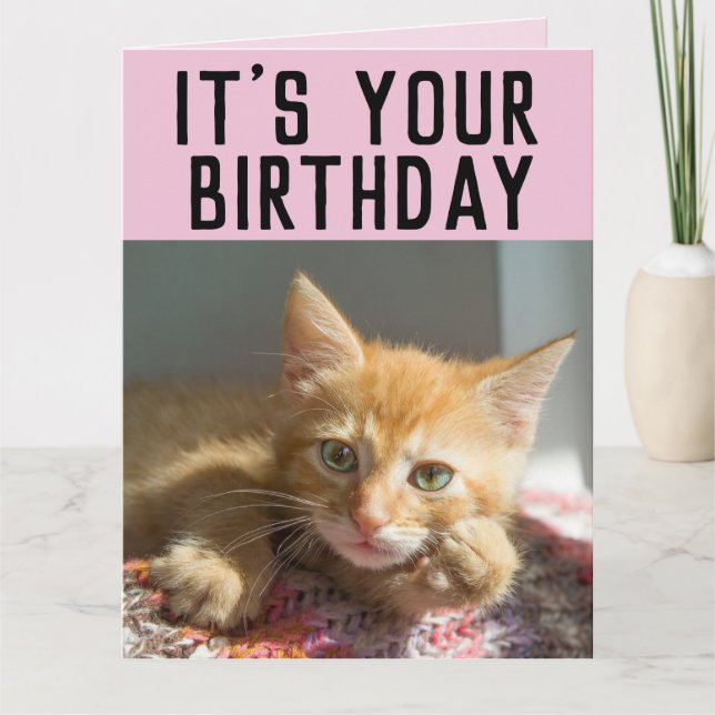 CUTE GINGER CAT KITTEN BIRTHDAY CARDS (Front)