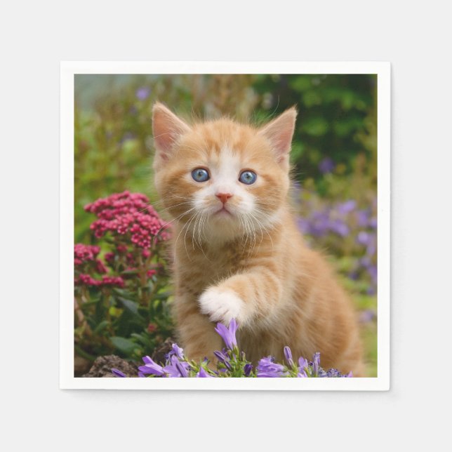Cute Ginger Cat Kitten Face Baby Pet Animal Photo Napkin (Front)