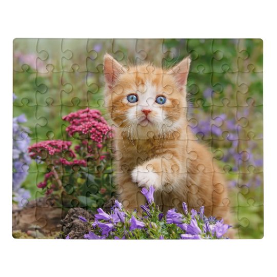 kitten puzzle
