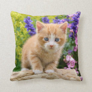 Cute Ginger Cat Kitten in Flowery Garden - Cushion