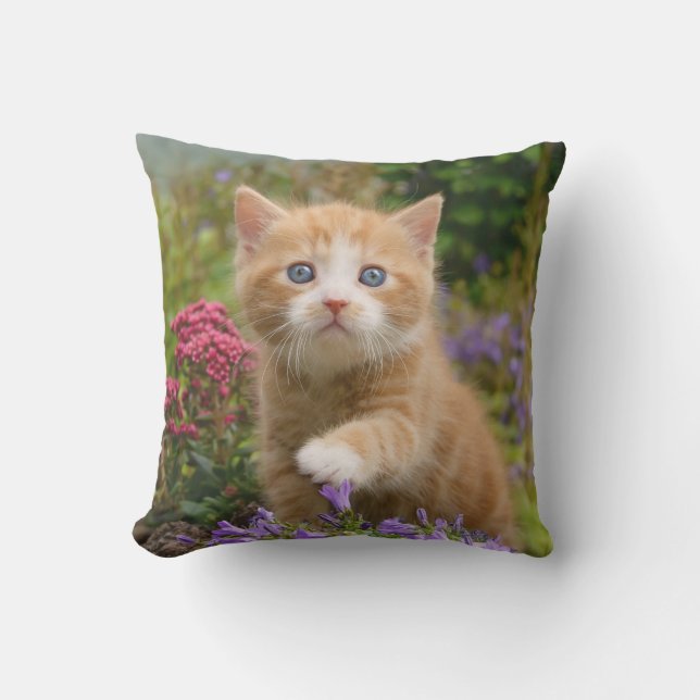 Cute Ginger Cat Kitten in Garden Photo - Outdoor Cushion (Front)