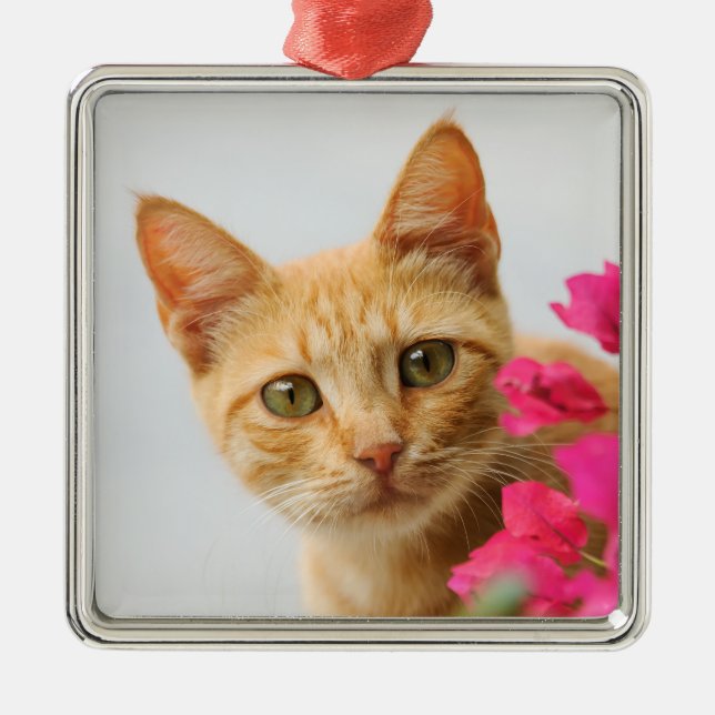 Cute Ginger Cat Kitten is Watching you Photo - Metal Ornament (Front)