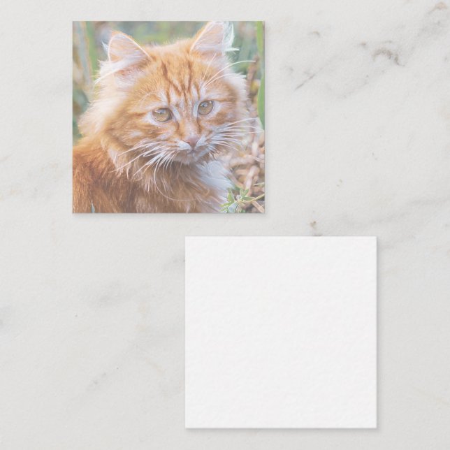 Cute Ginger Cat Kitten Painting Enclosure Card (Front/Back)