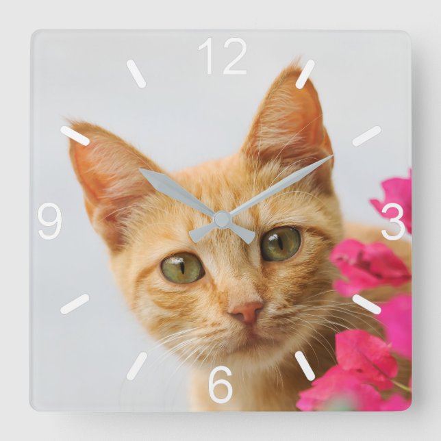 Cute Ginger Cat Kitten Watching Photo - dial-plate Square Wall Clock (Front)