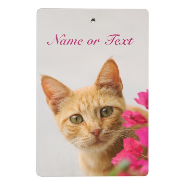 Cute Ginger Cat Kitten Watching Photo Personalised Mini Clipboard (Back)