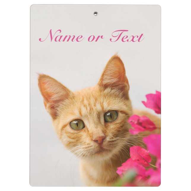 Cute Ginger Cat Kitten Watching You - Personalised Clipboard (Back)