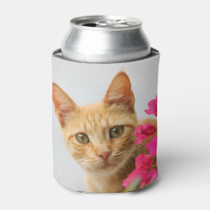 Cute Ginger Cat Kitten Watching You Photo - Can Cooler