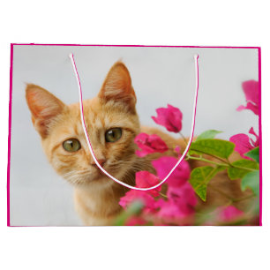 Cute Ginger Cat Kitten Watching You Portrait Photo Large Gift Bag
