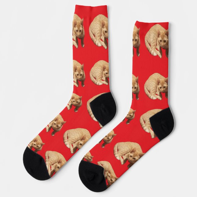 Cute Ginger Cat Photo  Socks (Left)