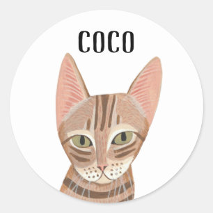 Cute Ginger Illustrated Cat Classic Round Sticker