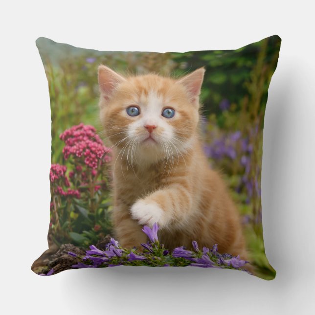 Cute ginger kitten in a garden cushion (Front)