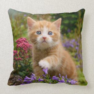 Cute ginger kitten in a garden cushion