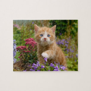 Cute ginger kitten in a garden jigsaw puzzle