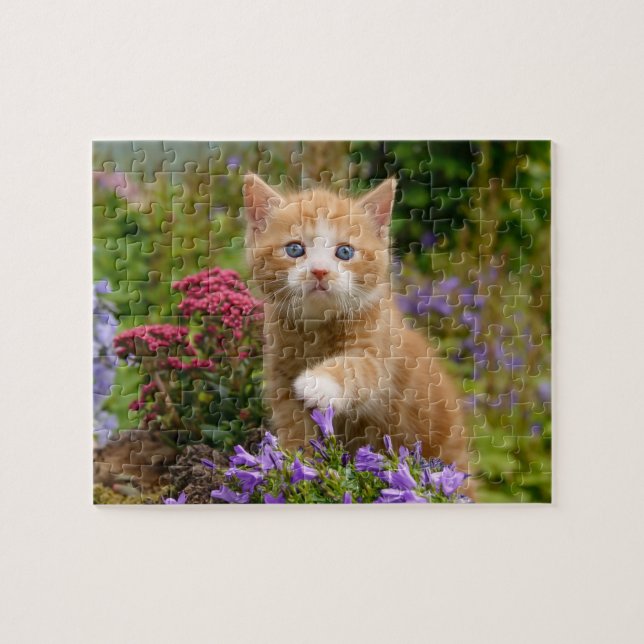 Cute ginger kitten in a garden jigsaw puzzle (Horizontal)