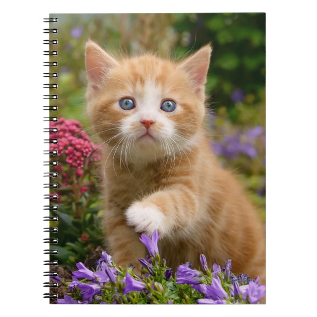 Cute ginger kitten in a garden notebook (Front)