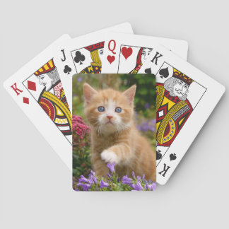 Cute ginger kitten in a garden playing cards