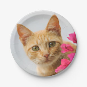 Cute Ginger Kitten Watching You, Party Paper Plate